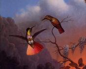 Hooded Visorbearer - 马丁·约翰逊·赫德